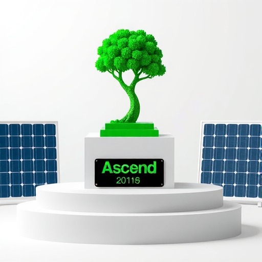 奥升德 (Ascend) 荣获电装 (DENSO) 北美合作伙伴可持续发展奖(图1) 奥升德 (Ascend) 荣获电装 (DENSO) 北美合作伙伴可持续发展奖(图1)