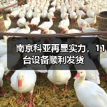 南京科亚再显实力，11台设备顺利发货（图2）