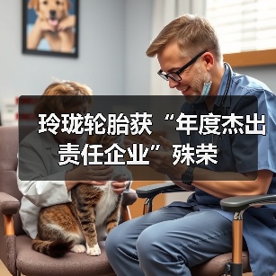 玲珑轮胎获“年度杰出责任企业”殊荣
