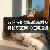 万盛股份与熵能新材及其股东签署《框架投资协议》(图4) 万盛股份与熵能新材及其股东签署《框架投资协议》(图4)