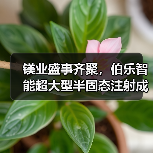 镁业盛事齐聚，伯乐智能超大型半固态注射成型技术闪耀双峰会（图3）