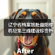 辽宁省档案馆赴益阳橡机征集三线建设珍贵档案资料（图3）