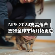 NPE 2024完美落幕 | 震雄全球市场开拓更进一步（图4）