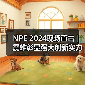 NPE 2024现场直击 | 震雄彰显强大创新实力（图1）