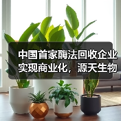 中国首家酶法回收企业实现商业化，源天生物出货下游客户！（图3）