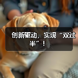 创新驱动，实现“双过半”！（图4）