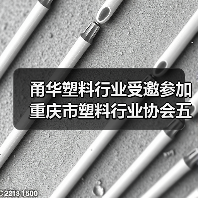 甬华塑料行业受邀参加重庆市塑料行业协会五届五次理事会(图3) 甬华塑料行业受邀参加重庆市塑料行业协会五届五次理事会(图3)