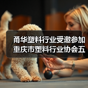 甬华塑料行业受邀参加重庆市塑料行业协会五届五次理事会（图1）
