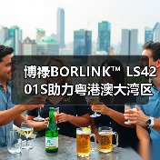 博禄BORLINK™ LS4201S助力粤港澳大湾区百万千瓦级海上风电基地建设（图1）