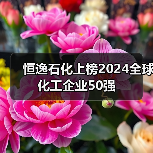 恒逸石化上榜2024全球化工企业50强(图4) 恒逸石化上榜2024全球化工企业50强(图4)