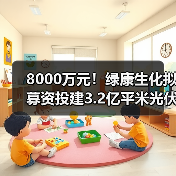 8000万元!绿康生化拟募资投建3.2亿平米光伏胶膜项目(图4) 8000万元!绿康生化拟募资投建3.2亿平米光伏胶膜项目(图4)