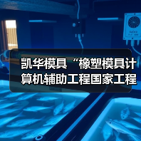 凯华模具“橡塑模具计算机辅助工程国家工程研究中心台州分中心”成功揭牌！（图2）