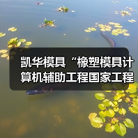 凯华模具“橡塑模具计算机辅助工程国家工程研究中心台州分中心”成功揭牌！（图4）