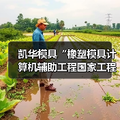 凯华模具“橡塑模具计算机辅助工程国家工程研究中心台州分中心”成功揭牌！（图3）