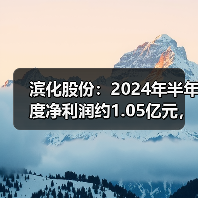 滨化股份：2024年半年度净利润约1.05亿元，同比下降29.73%（图3）
