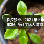 软控股份：2024年上半年净利预计同比大增120%（图1）