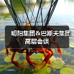 明阳集团&巴斯夫集团高层会谈（图4）