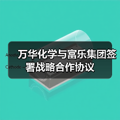 万华化学与富乐集团签署战略合作协议（图2）