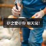 伊之密@你 明天见！（图4）