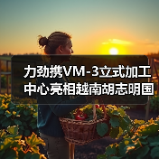 力劲携VM-3立式加工中心亮相越南胡志明国际机床及自动化展览会(图2) 力劲携VM-3立式加工中心亮相越南胡志明国际机床及自动化展览会(图2)