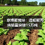 京博聚烯烃：透明聚丙烯销量突破15万吨（图4）