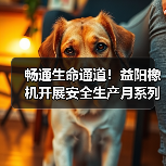 畅通生命通道！益阳橡机开展安全生产月系列活动（图4）