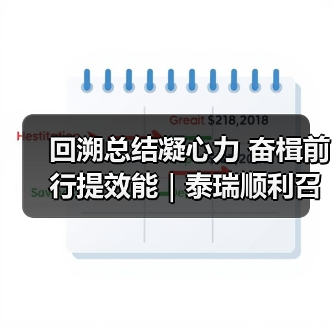 回溯总结凝心力 奋楫前行提效能｜泰瑞顺利召开2024半年度会议（图1）