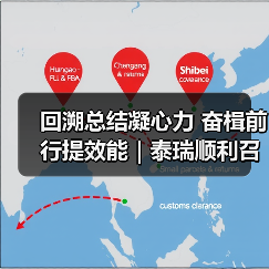 回溯总结凝心力 奋楫前行提效能｜泰瑞顺利召开2024半年度会议（图3）