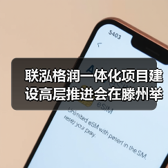 联泓格润一体化项目建设高层推进会在滕州举行（图4）