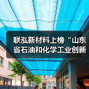 联泓新材料上榜“山东省石油和化学工业创新指数TOP100”(图4) 联泓新材料上榜“山东省石油和化学工业创新指数TOP100”(图4)