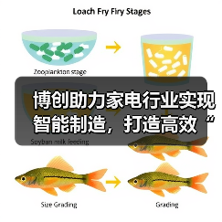 博创助力家电行业实现智能制造，打造高效“黑灯工厂”（图3）