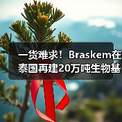 一货难求！Braskem在泰国再建20万吨生物基PE（图4）
