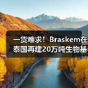 一货难求！Braskem在泰国再建20万吨生物基PE（图2）