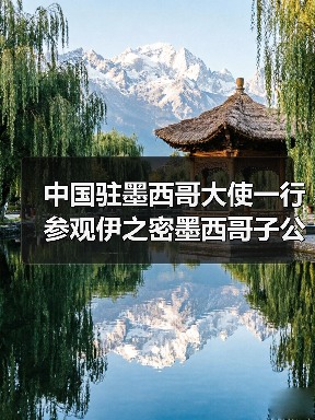 中国驻墨西哥大使一行参观伊之密墨西哥子公司,助力中资企业在墨发展(图2) 中国驻墨西哥大使一行参观伊之密墨西哥子公司,助力中资企业在墨发展(图2)