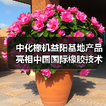 中化橡机益阳基地产品亮相中国国际橡胶技术展会(图4) 中化橡机益阳基地产品亮相中国国际橡胶技术展会(图4)