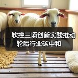 软控三项创新实践推动轮胎行业碳中和(图2) 软控三项创新实践推动轮胎行业碳中和(图2)