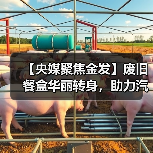 【央媒聚焦金发】废旧餐盒华丽转身,助力汽车内饰绿色升级(图3) 【央媒聚焦金发】废旧餐盒华丽转身,助力汽车内饰绿色升级(图3)