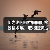 伊之密闪耀中国国际橡胶技术展,取得圆满成功(图2) 伊之密闪耀中国国际橡胶技术展,取得圆满成功(图2)