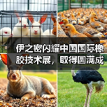 伊之密闪耀中国国际橡胶技术展,取得圆满成功(图3) 伊之密闪耀中国国际橡胶技术展,取得圆满成功(图3)