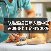 联泓连续四年入选中国石油和化工企业500强榜单彰显行业实力（图2）