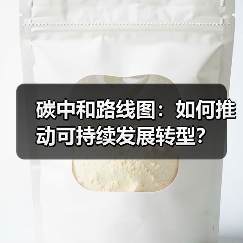 碳中和路线图：如何推动可持续发展转型？（图1）