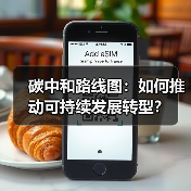 碳中和路线图：如何推动可持续发展转型？（图3）