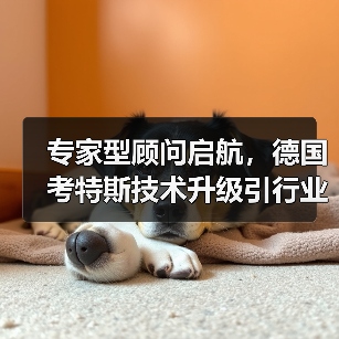 专家型顾问启航,德国考特斯技术升级引行业关注(图4) 专家型顾问启航,德国考特斯技术升级引行业关注(图4)