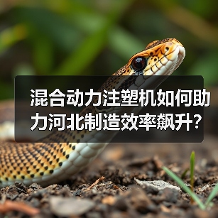 混合动力注塑机如何助力河北制造效率飙升?(图1) 混合动力注塑机如何助力河北制造效率飙升?(图1)