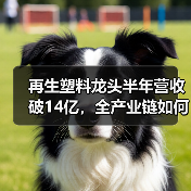 再生塑料龙头半年营收破14亿,全产业链如何助力增长?(图4) 再生塑料龙头半年营收破14亿,全产业链如何助力增长?(图4)