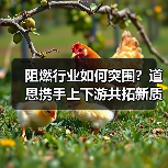阻燃行业如何突围？道恩携手上下游共拓新质生产力（图3）
