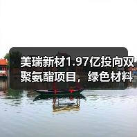 美瑞新材1.97亿投向双聚氨酯项目，绿色材料加速扩张（图3）