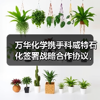 万华化学携手科威特石化签署战略合作协议，共拓全球市场（图3）
