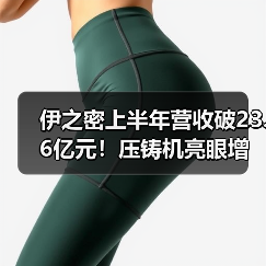 伊之密上半年营收破23.6亿元!压铸机亮眼增长,全球布局加速(图4) 伊之密上半年营收破23.6亿元!压铸机亮眼增长,全球布局加速(图4)