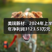 美瑞新材：2024年上半年净利润3123.53万元 同比下降39.04%